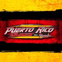 puertoricobuses