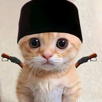 original sound - penjahatnya.ll