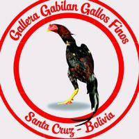 gabilan020o