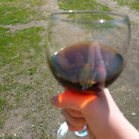 .bubbly.andreea1