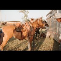 tiedoffmafiaofficial