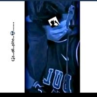 wilber_808