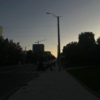 mishale_5