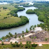 lesrivesdegogotinkpon