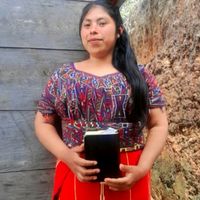 sonido original