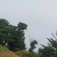 original sound - kevinnadryann17