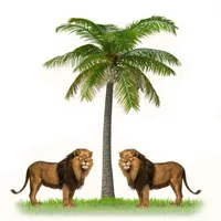 original sound - urhobonation