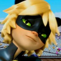 cat noir