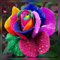 kishfashionsandcrafts