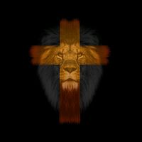 reflexoesmotiv4cionais