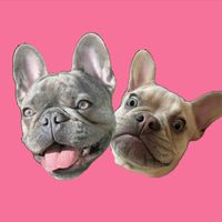 winstonthefrenchiee_