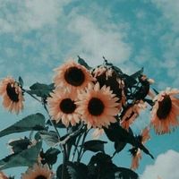 nimet__horoskoopit__