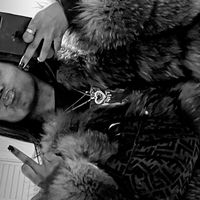___sbands