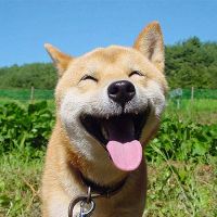 original sound - Smiles R free