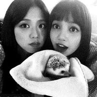nayloveskei_