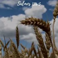 original sound - adrianmorch