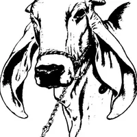 original sound - rancho.cruzl