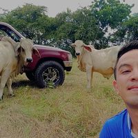 jipve23