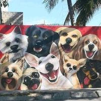 loveforanimals389