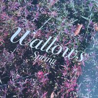 wallows_26