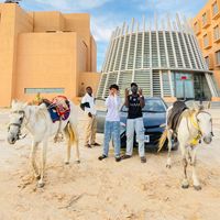 mohamed.mahmoud2194