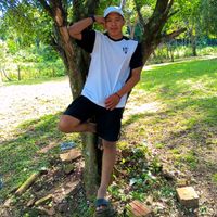 david_oficial241