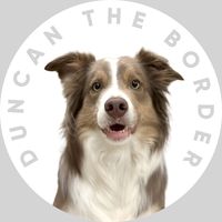 duncan_the_border
