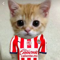 arribalaschivas87