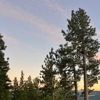 normanrockwellvintage