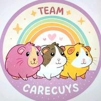 team.pachita