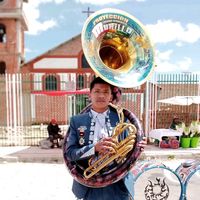 herbertuba