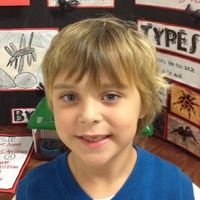 tacobellbajablastfreezy