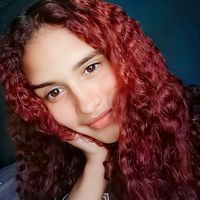 darirv23_book