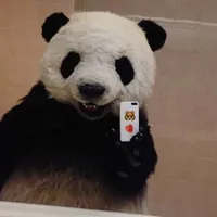 original sound - elpanda24_7