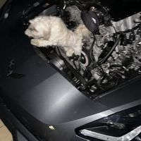 ltx_manny_c7