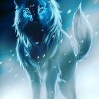 noah_istlostmalwider