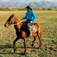 оригинальный звук