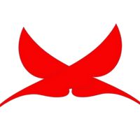 suara asli - hokytrick