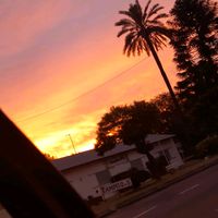facu____________________