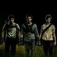 mazerunner.kdt