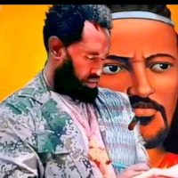amhara033