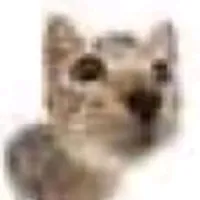 original sound - berrybitess