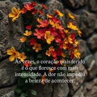 carlaaparecida263