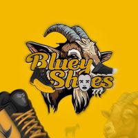 bluey_shoeesss