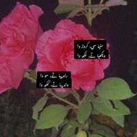 uos_it_2k23