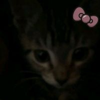 cuentademasiadopersonal