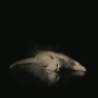 original sound - oopmus