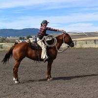 redwhiteandblueroanfarms