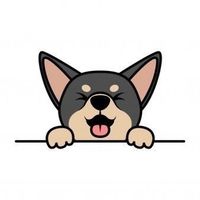 _tottito