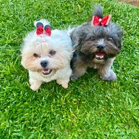 bellaeamelia